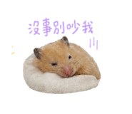 858842984