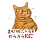 858843116
