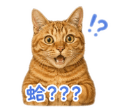 858843121