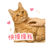 858843124