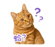 858843127