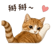 858843379