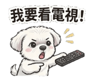 858843806