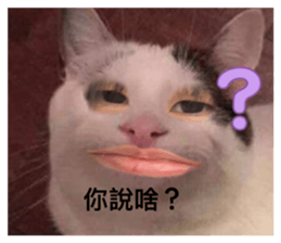 858844061