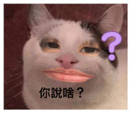 858844061