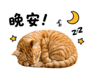 858844924