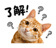 858844925