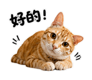 858844928