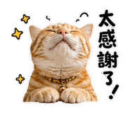 858844944