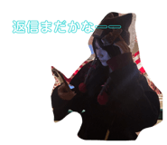 858846017