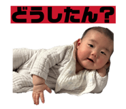 858846195