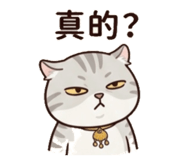 858846371