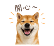 858846866