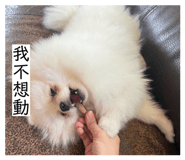 858848147