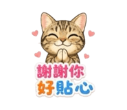 858853091