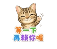 858853094