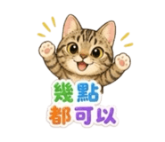 858853101