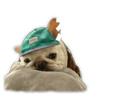 858853264