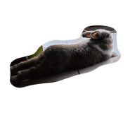 858854370