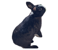858854371