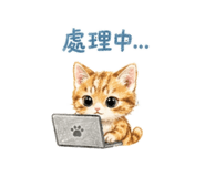 858857051