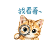 858857054