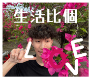 858857324