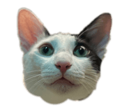 858857397