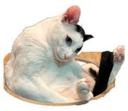 858857399