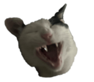 858857406