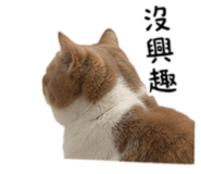 858858092
