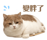 858858094