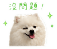 858859715