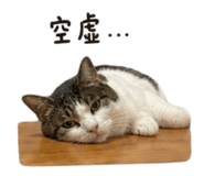 858861124