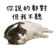 858861126