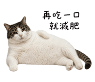 858861127