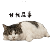 858861130