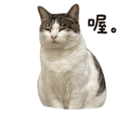 858861135