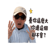 858862727