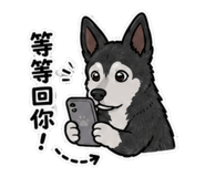 858863343