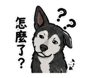 858863367