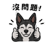 858863368