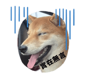 858864161