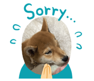 858864170