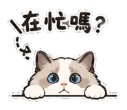 858865403