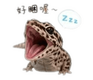 858866324