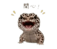 858866327