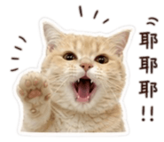 858867843