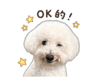 858868428