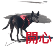 858871151